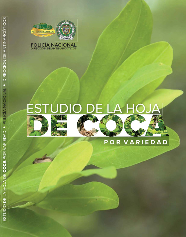 Estudio de la hoja de coca por variedad