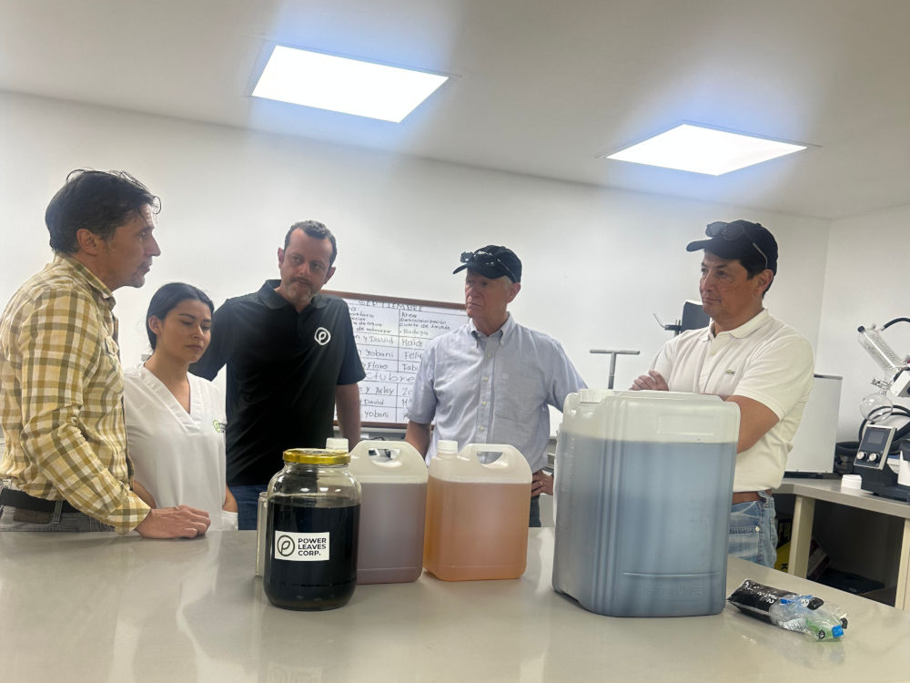 Alianza con el sector privado para ingresar a mercados internacionales
