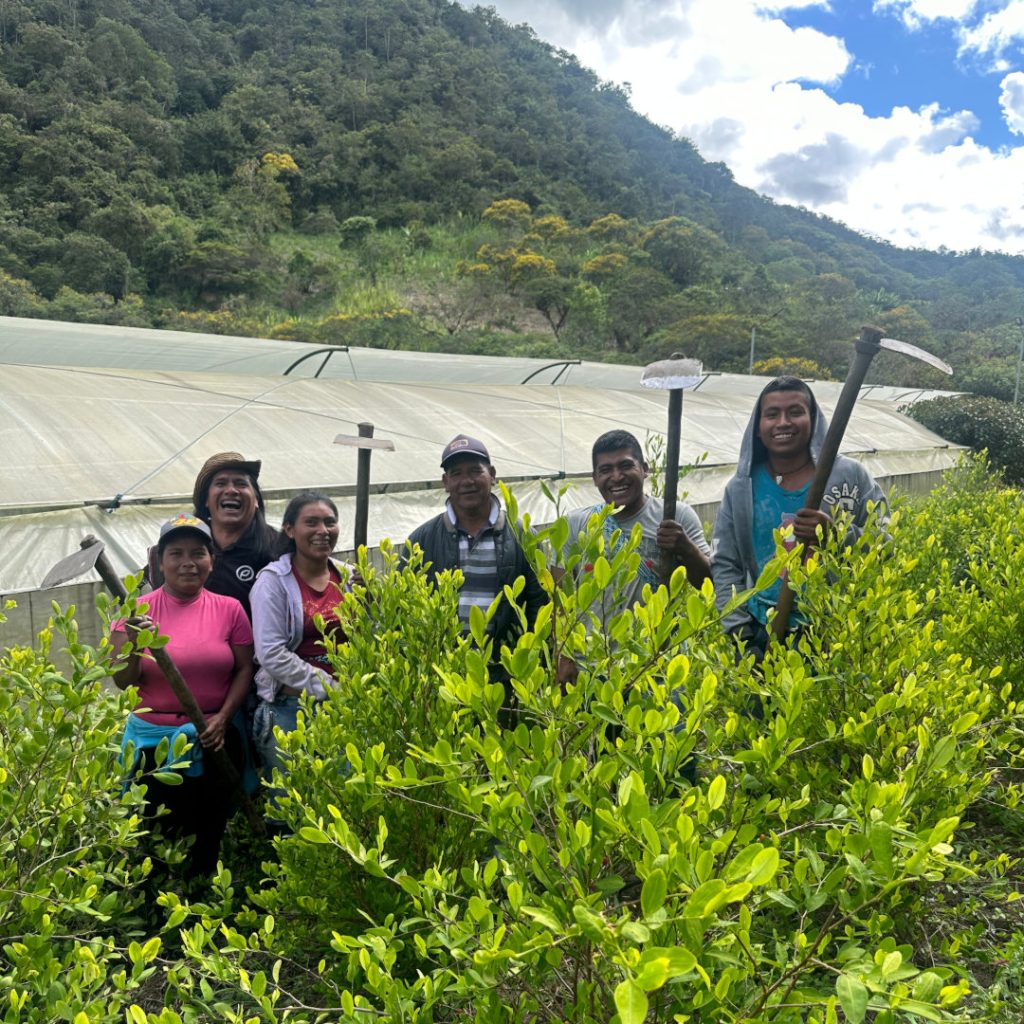 NasaWala - Laboratorio de Alta Montaña – Resguardo Indígena de Calderas, municipio de Inzá (Cauca)